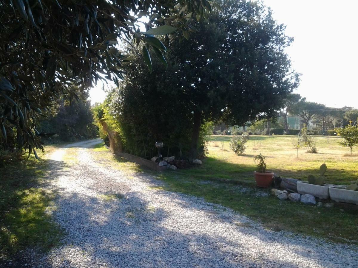 Appartamento In Villa Di Judighes 切尔韦泰里 外观 照片